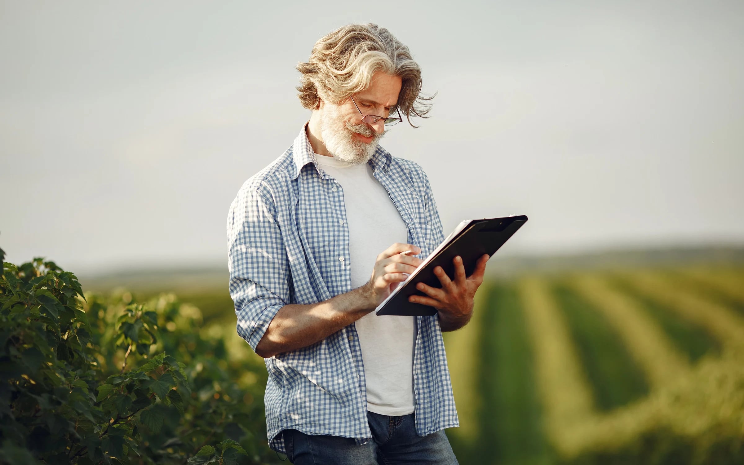 A grower noting observations on a clipboard in a crop field